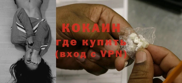 прущие грибы Белоозёрский
