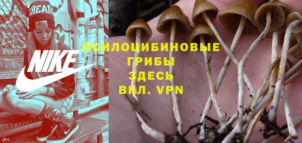 ГАЛЛЮЦИНОГЕННЫЕ ГРИБЫ Бронницы