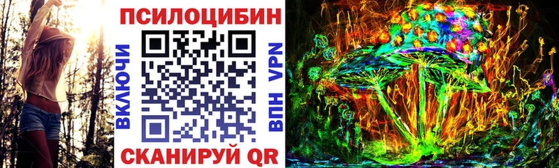 shop какой сайт  Верхняя Салда  Галлюциногенные грибы мухоморы  купить закладку 